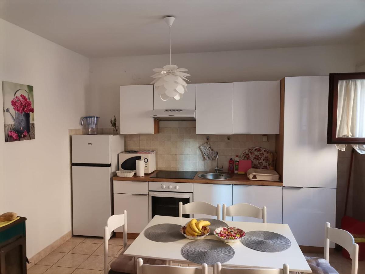 Delfin Apartments زادار المظهر الخارجي الصورة